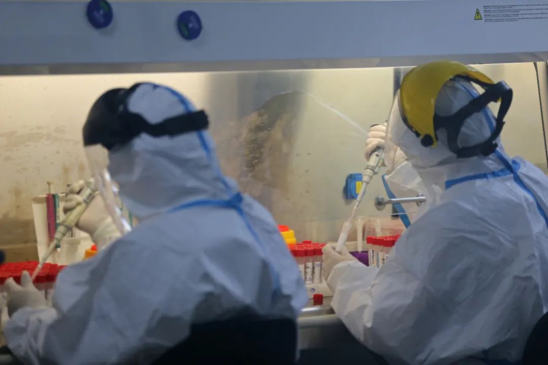 南京市第一医院核医学科和检验科的工作人员24小时不停歇，加快对核酸样本的检测。
