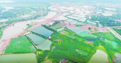 豹子溪生态大廊道现雏形.通讯员余洋 摄