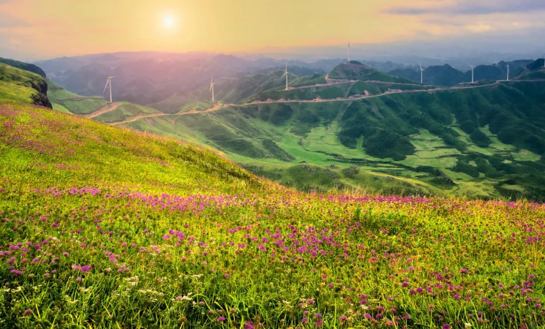 走，去毕节，过21℃的夏天！