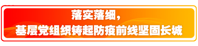 湖南:让党旗在防疫一线高高飘扬