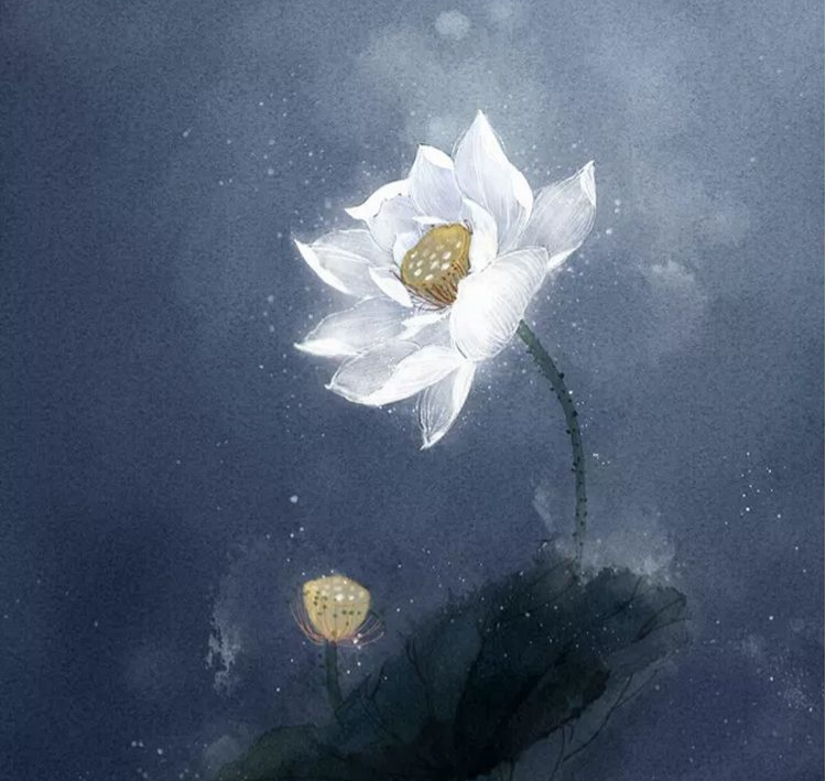 一枚和田羊脂玉精雕白莲养性情破孤闷修身心