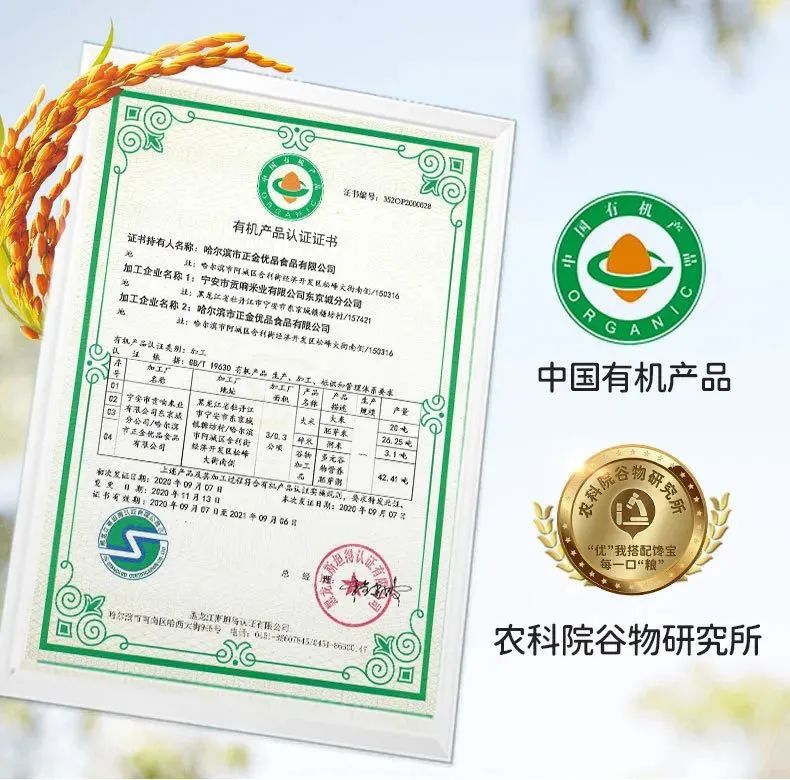 真的能发芽的胚芽米!给孩子主食换成它,营养翻N倍