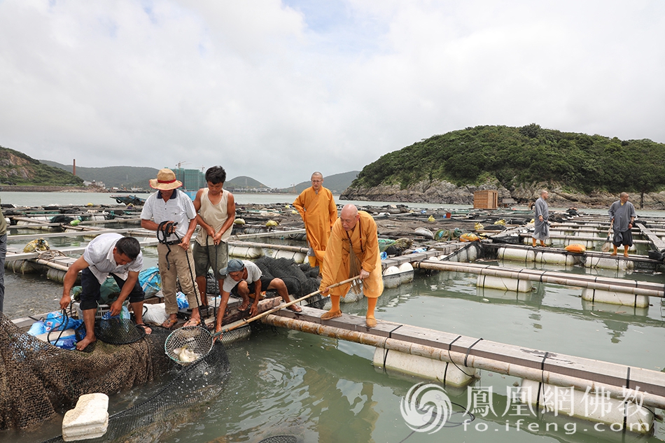寨峰岛放生现场(图片来源:凤凰网佛教 摄影:普陀山佛教协会)