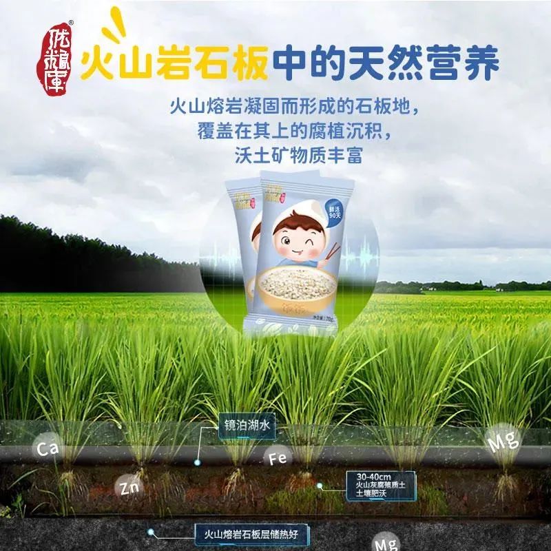 真的能发芽的胚芽米!给孩子主食换成它,营养翻N倍