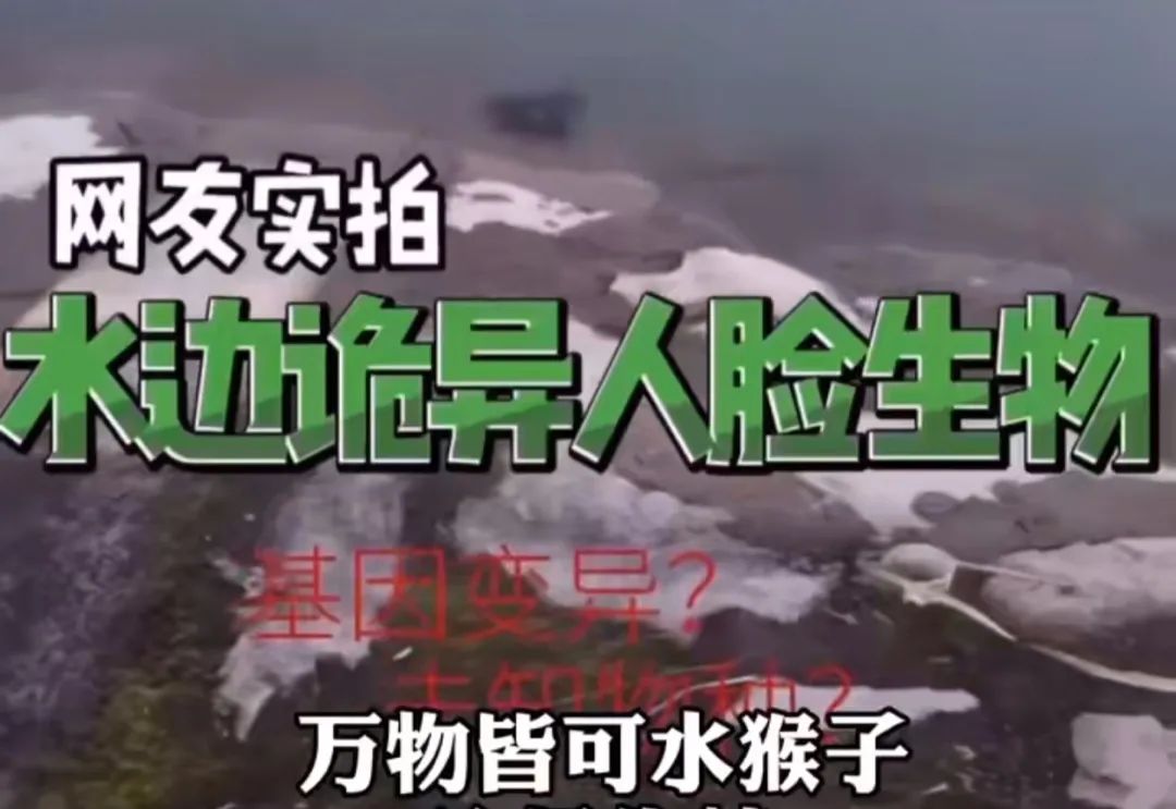 科普知识不高冷，博物学也能有温度