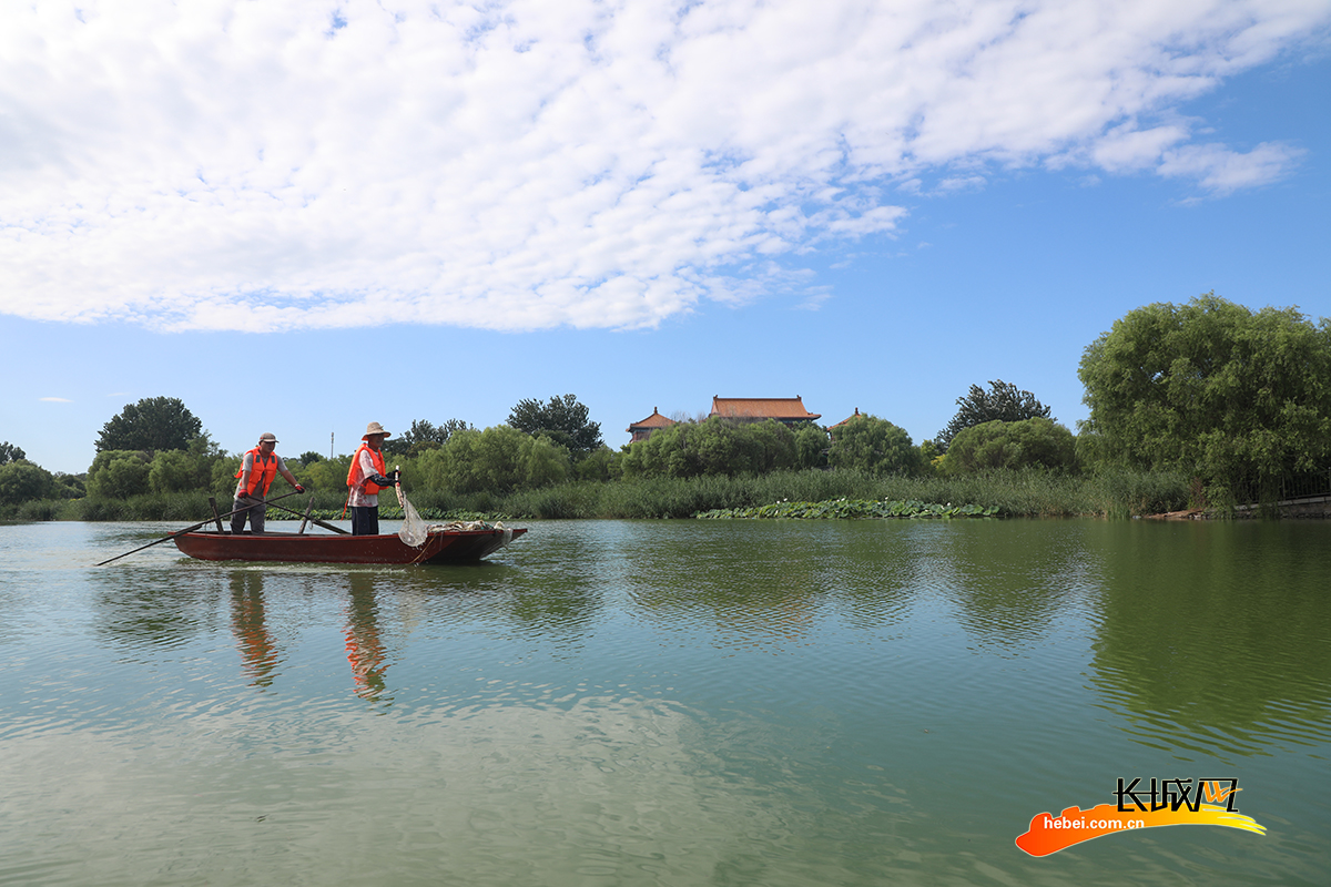 唐山市丰润区,水上保洁员在还乡河水面上清理漂浮物.朱大勇 摄