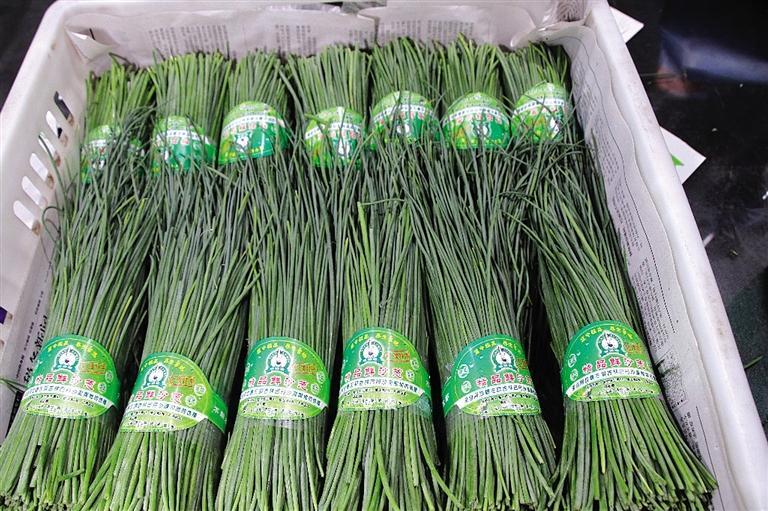 精心挑选的沙葱销往全国