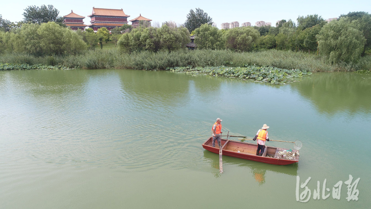 2021年8月2日，在河北省唐山市丰润区，水上保洁员在还乡河水面上清理漂浮物。