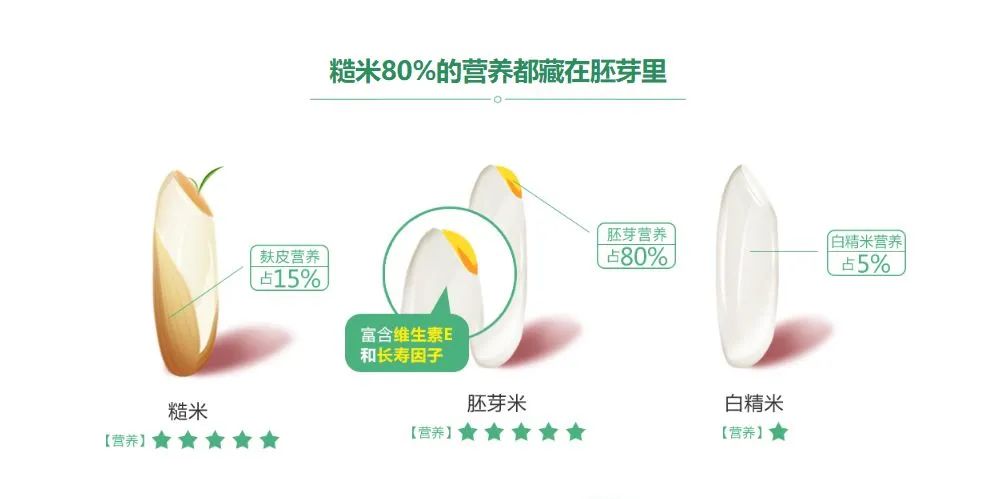 真的能发芽的胚芽米!给孩子主食换成它,营养翻N倍