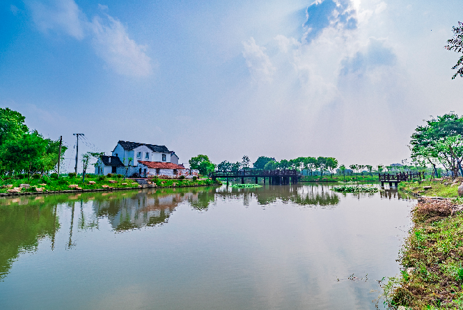 你可能不知道平湖的乡村有多牛