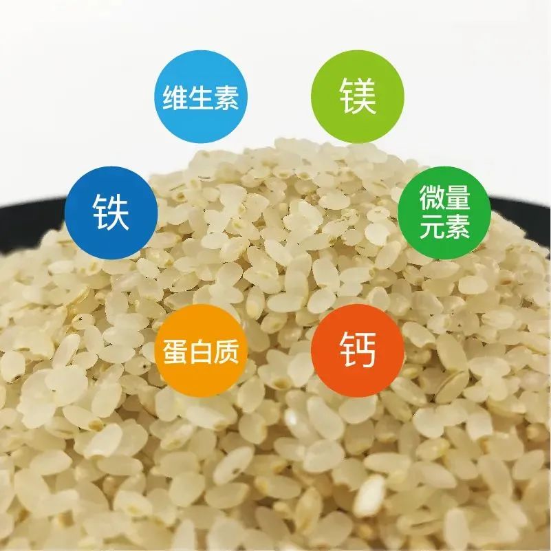 真的能发芽的胚芽米!给孩子主食换成它,营养翻N倍