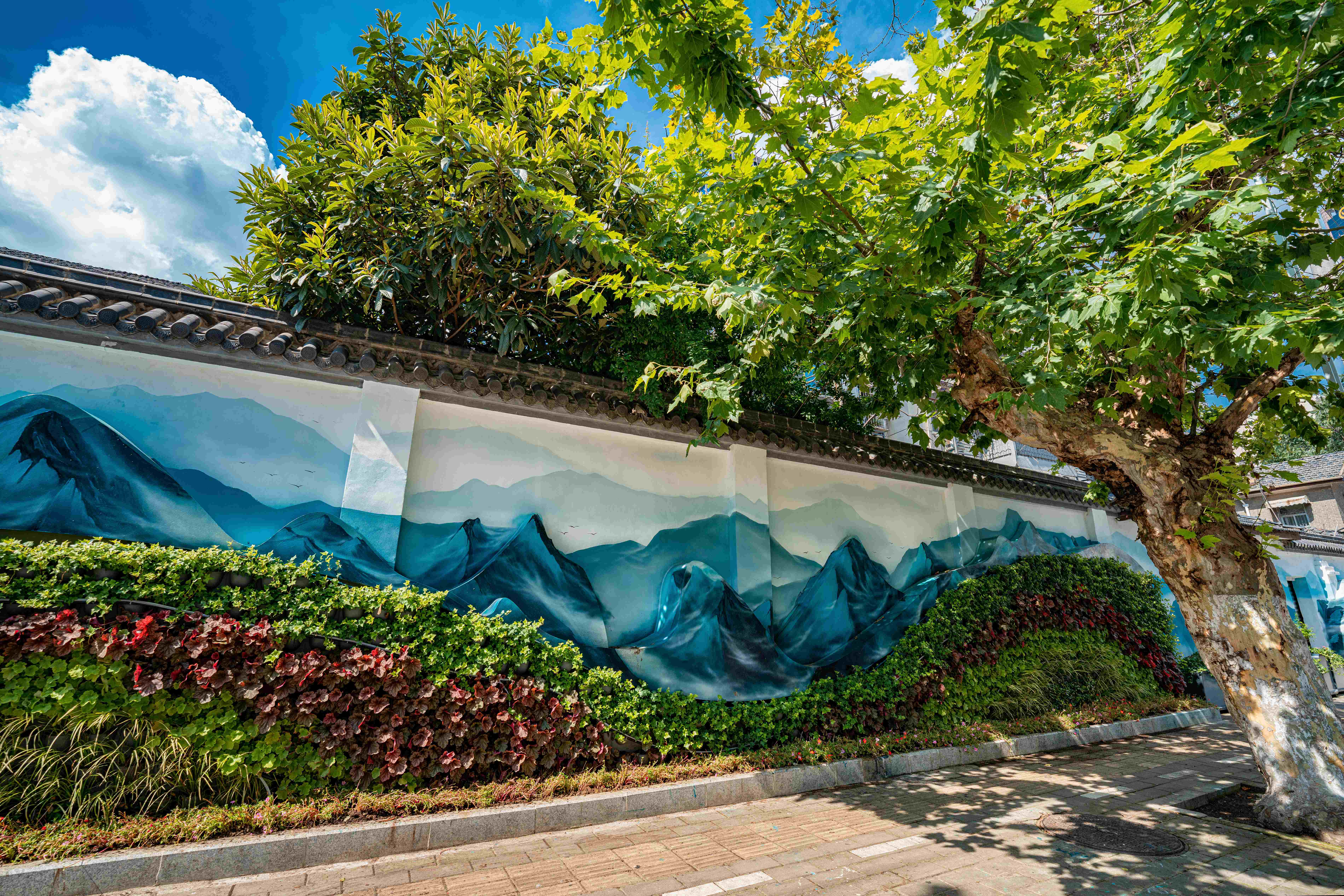 绿色蔓舞城角庐阳老城区垂直绿化项目基本完工