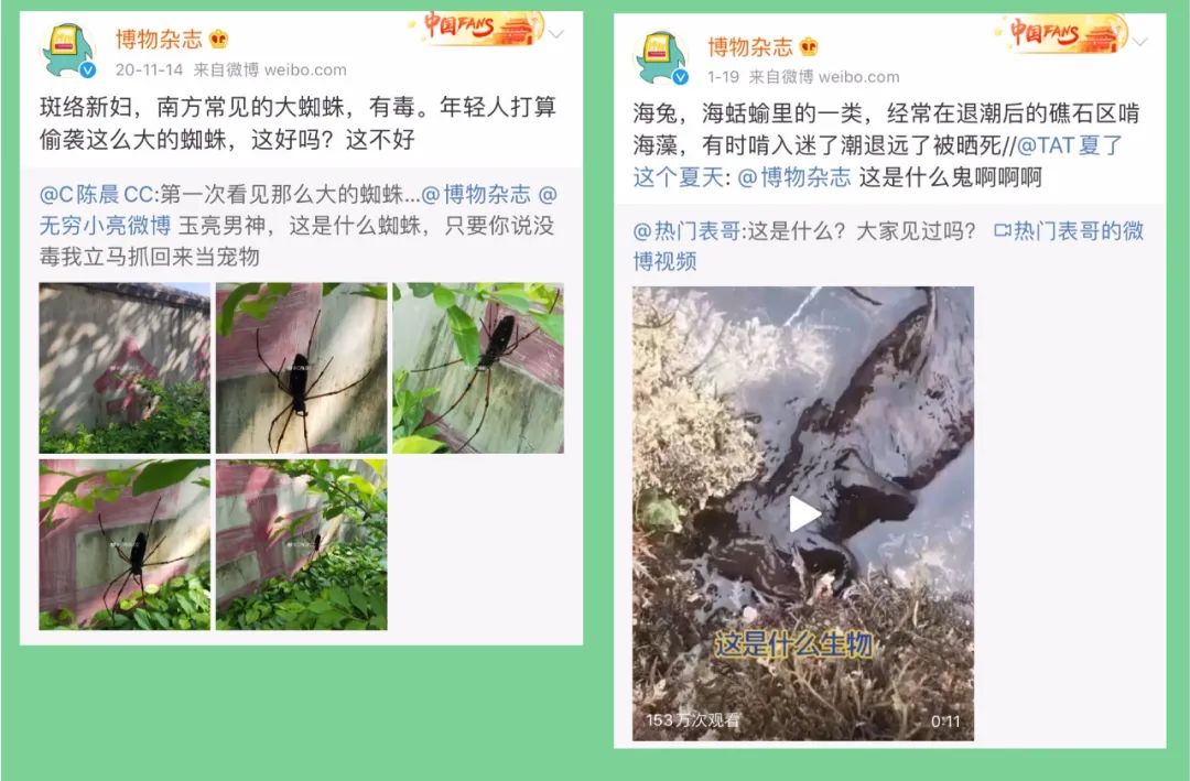 科普知识不高冷，博物学也能有温度