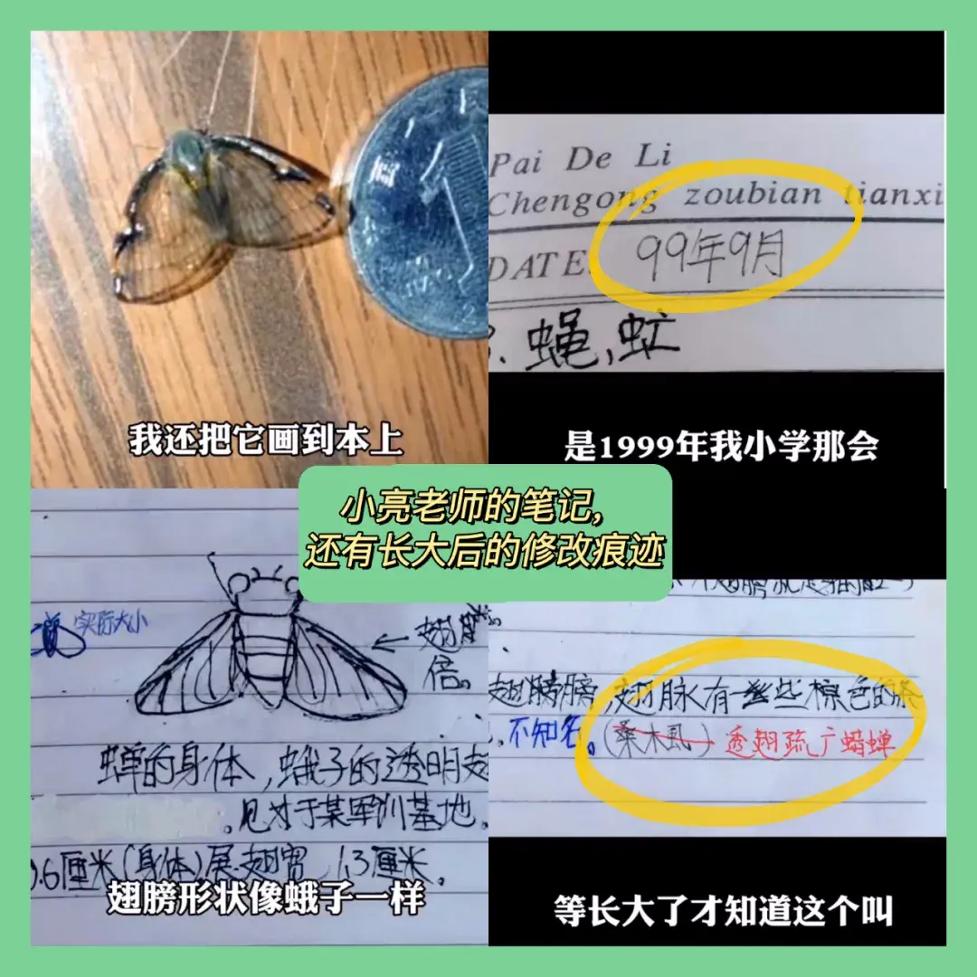 科普知识不高冷，博物学也能有温度