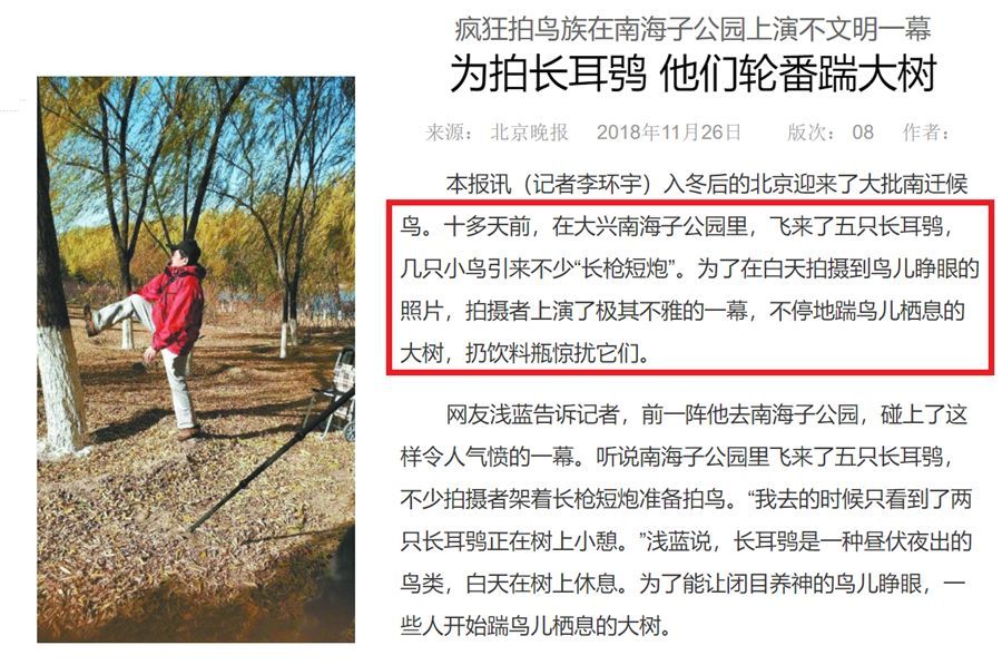 媒体报道不文明拍鸟行为。图源北京晚报