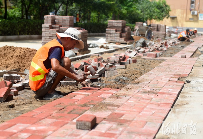 2021年8月1日，河北省邢台市政建设集团工人在老旧小区改造项目——信都区园东小区铺设便道砖。河北日报记者赵永辉摄