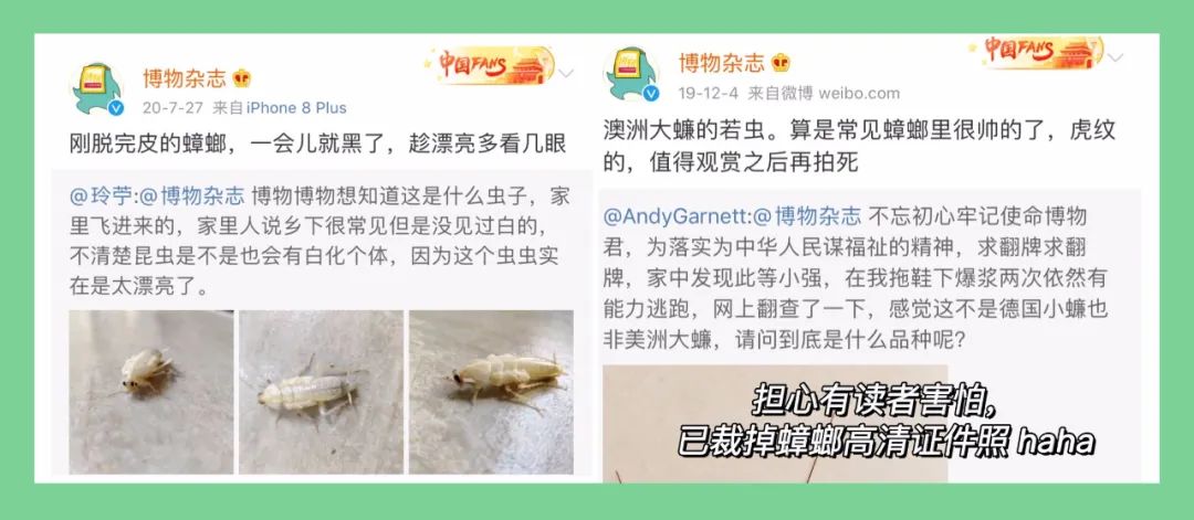科普知识不高冷，博物学也能有温度