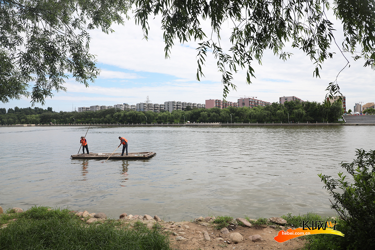 唐山市丰润区,水上保洁员在还乡河水面上清理漂浮物.朱大勇 摄