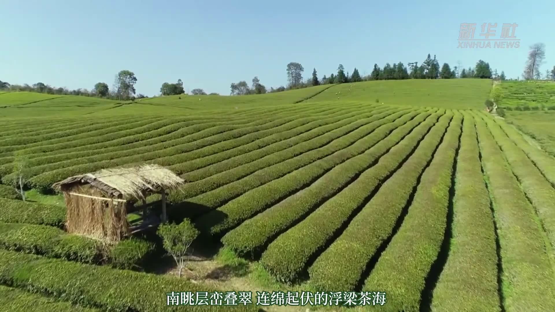 千城胜景丨高岭·中国村：向世界展示东方田园美学生活