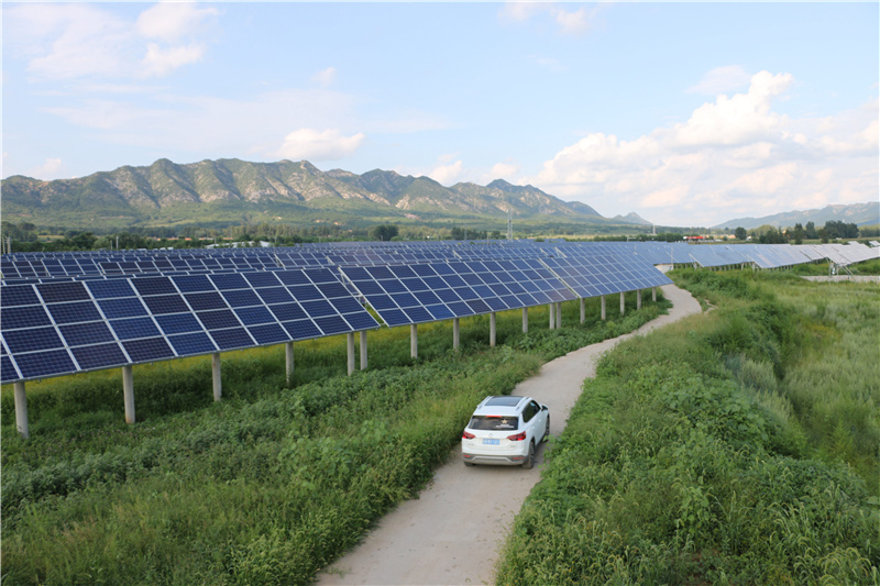 这是8月3日拍摄的河北省平泉市道虎沟乡“农光互补”农业园区一角。