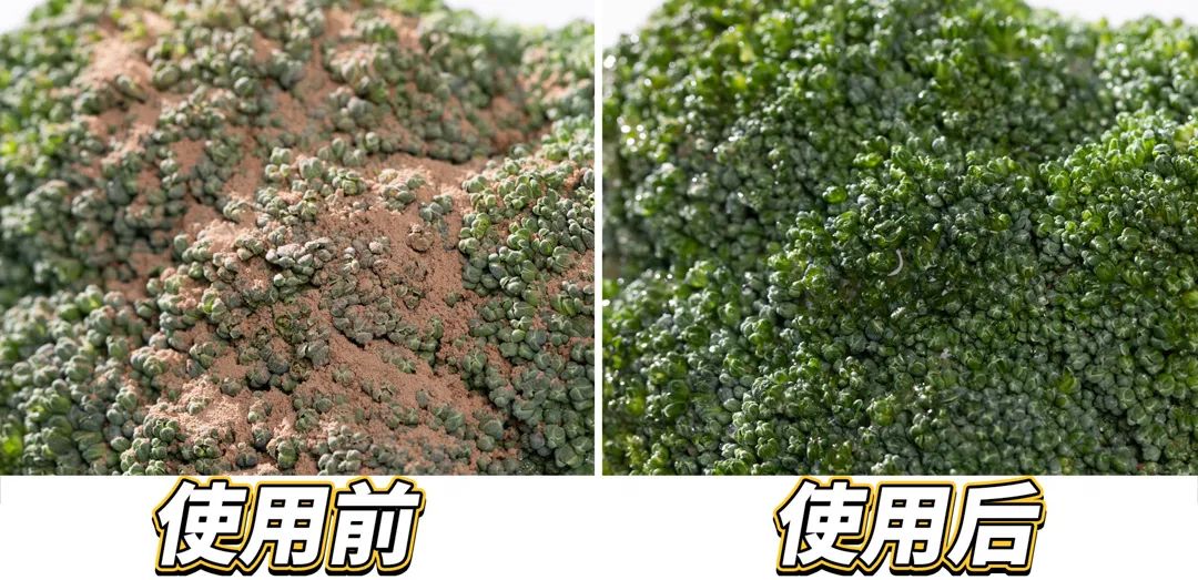 1秒清洁牙缝,牙齿问题不用怕,想吃啥就吃啥,省几万看牙钱