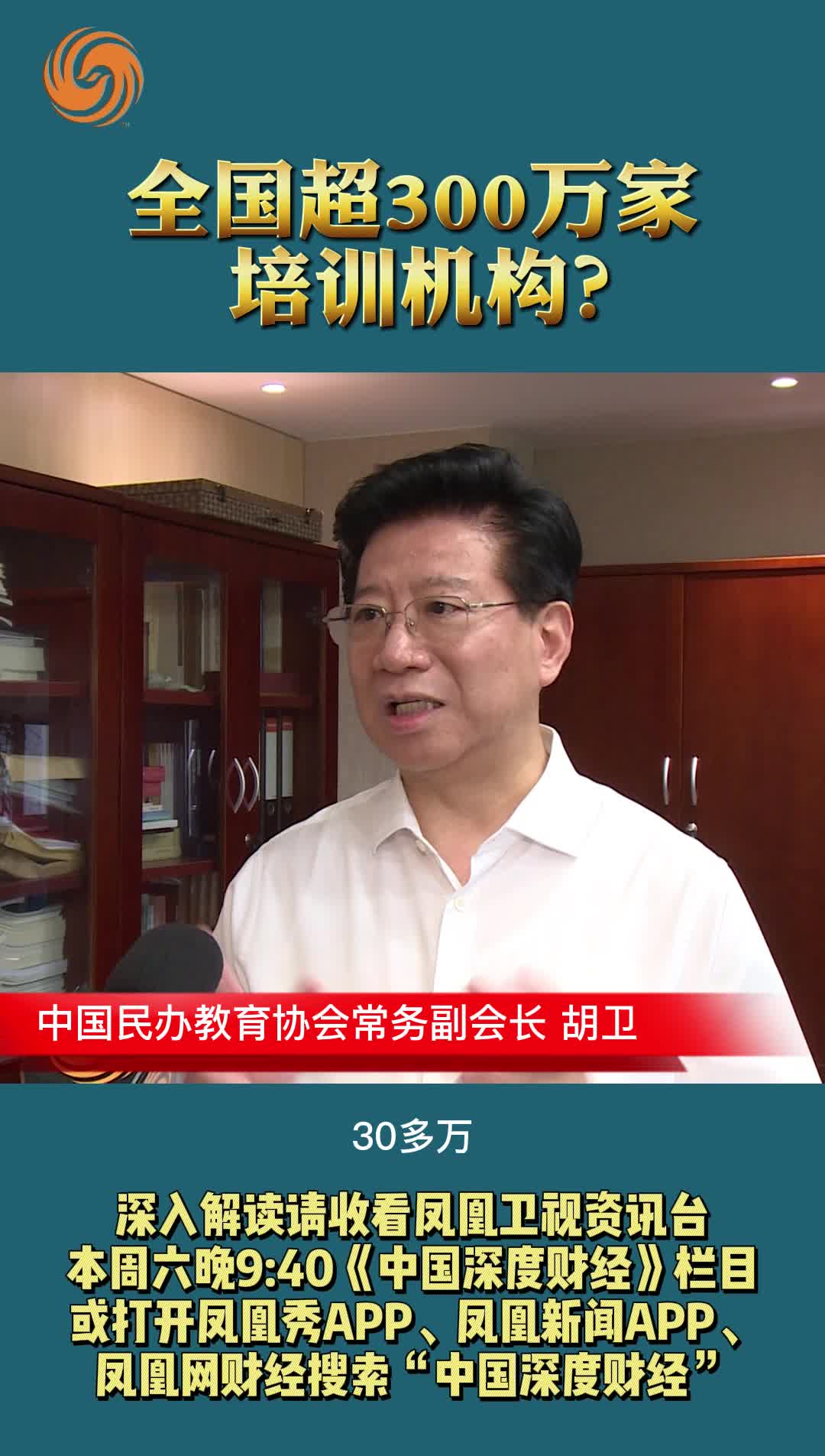 中国民办教育协会常务副会长 胡卫：全国超300万家培训机构？