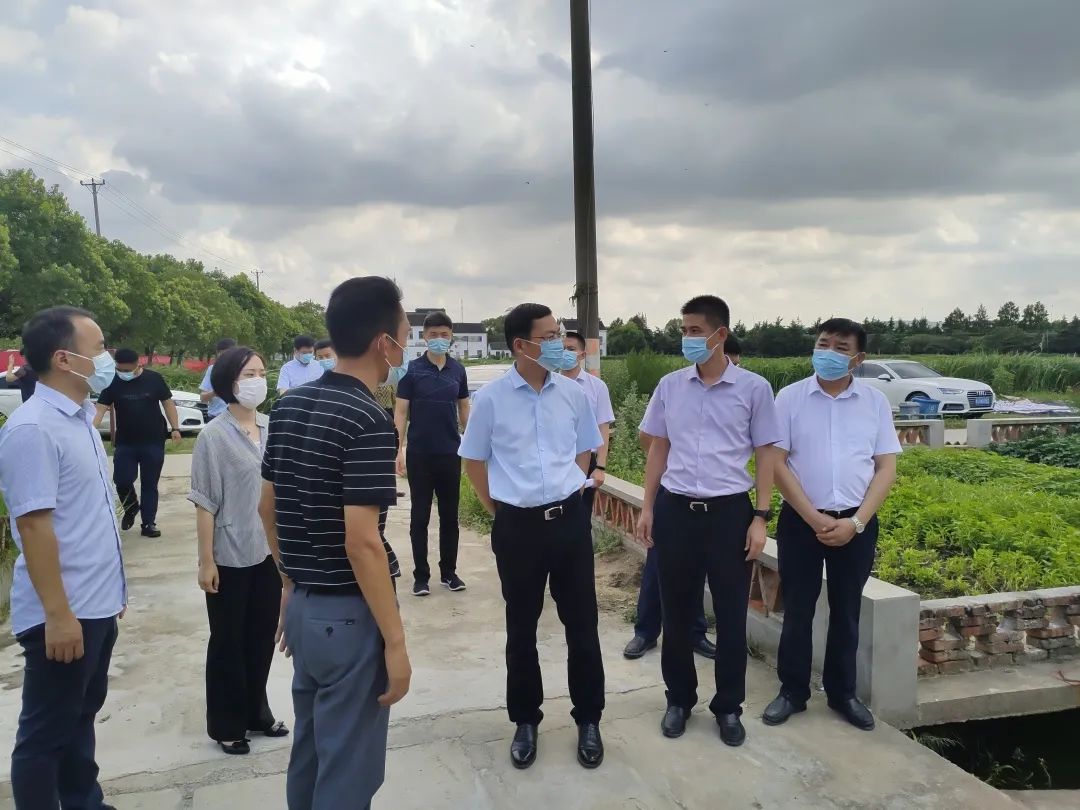 苏州高新区党工委副书记陆振华检查农村地区疫情防控工作