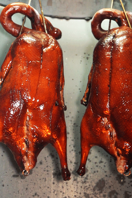 432_648竖版 竖屏gif 动态图 动图