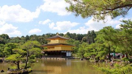 日本的古建筑都是悬空而建，它的抗震性堪称“奇迹”