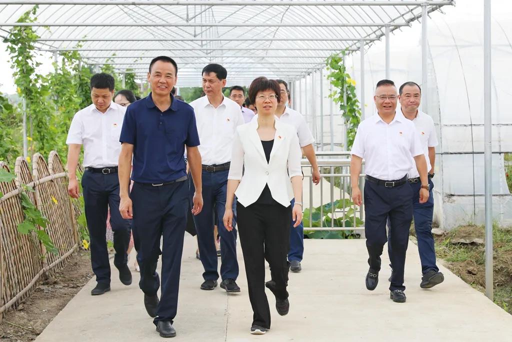 石一婷聚焦发展大局助力共同富裕