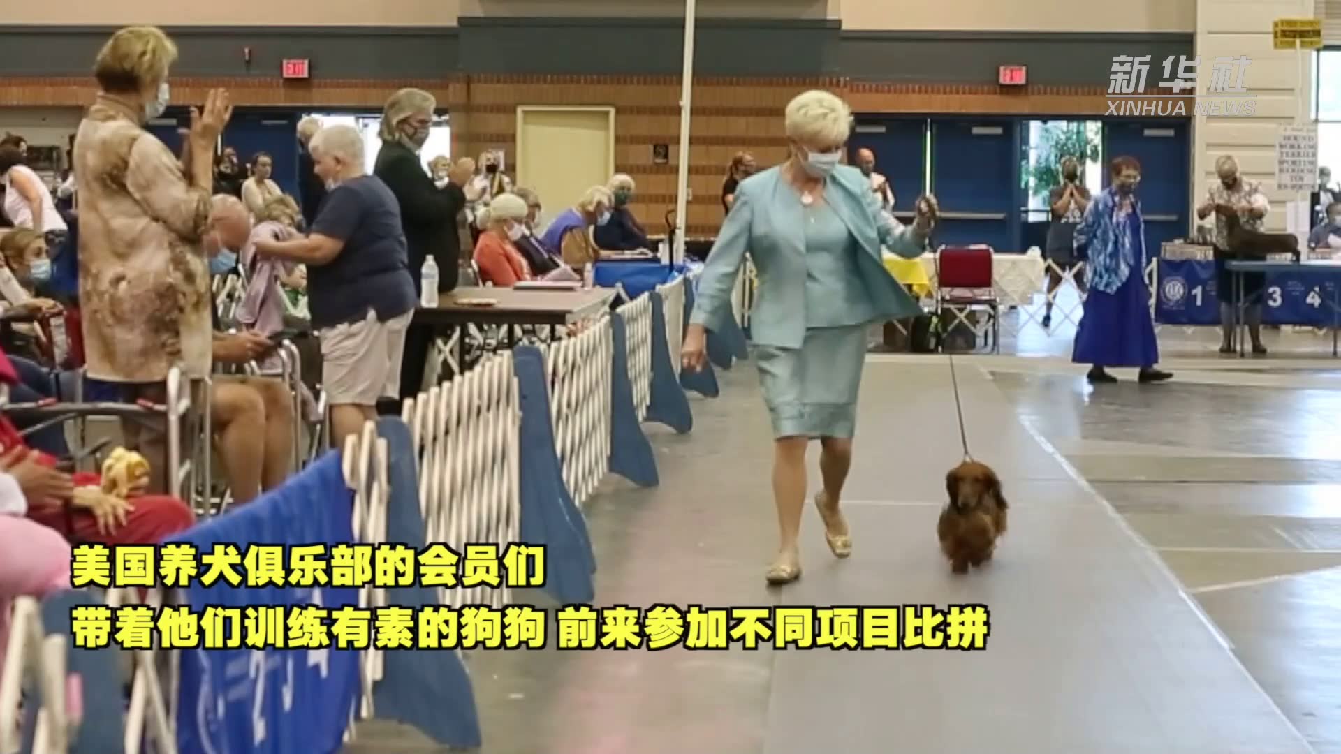 萌犬来袭！美国路易斯安那州举办狗展