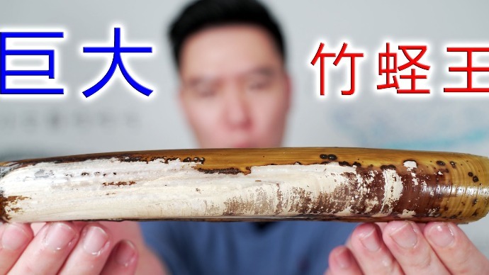 巨大竹蛏王，比手臂还长，用蒜蓉粉丝蒸香的不得了