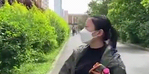 哈尔滨一小区十几只猫狗疑被毒死，刑警队已介入