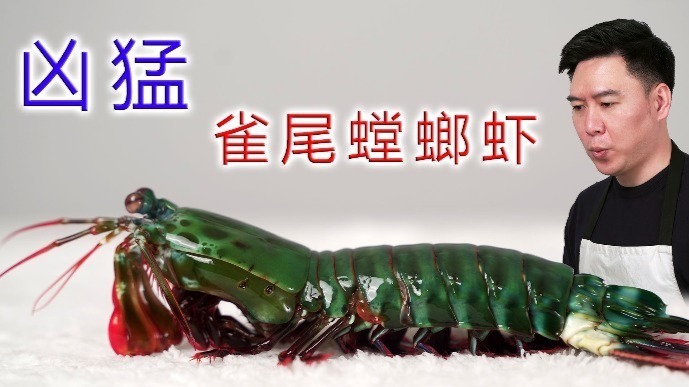 非常凶猛的雀尾螳螂虾攻击速度堪比子弹出锅后都有点不敢下嘴