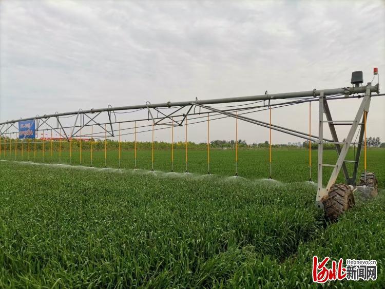 宁晋县小麦节水灌溉示范田。 （资料片）河北日报记者赵红梅摄