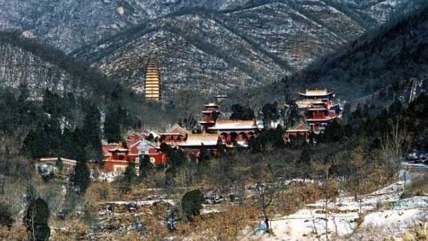 法门寺在清理修复宝塔时，为何考古队觉得没有什么收获？_凤凰网视频_凤凰网