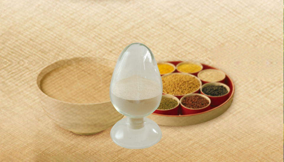 双塔食品：豌豆全产业链龙头，践行国家“双碳”战略