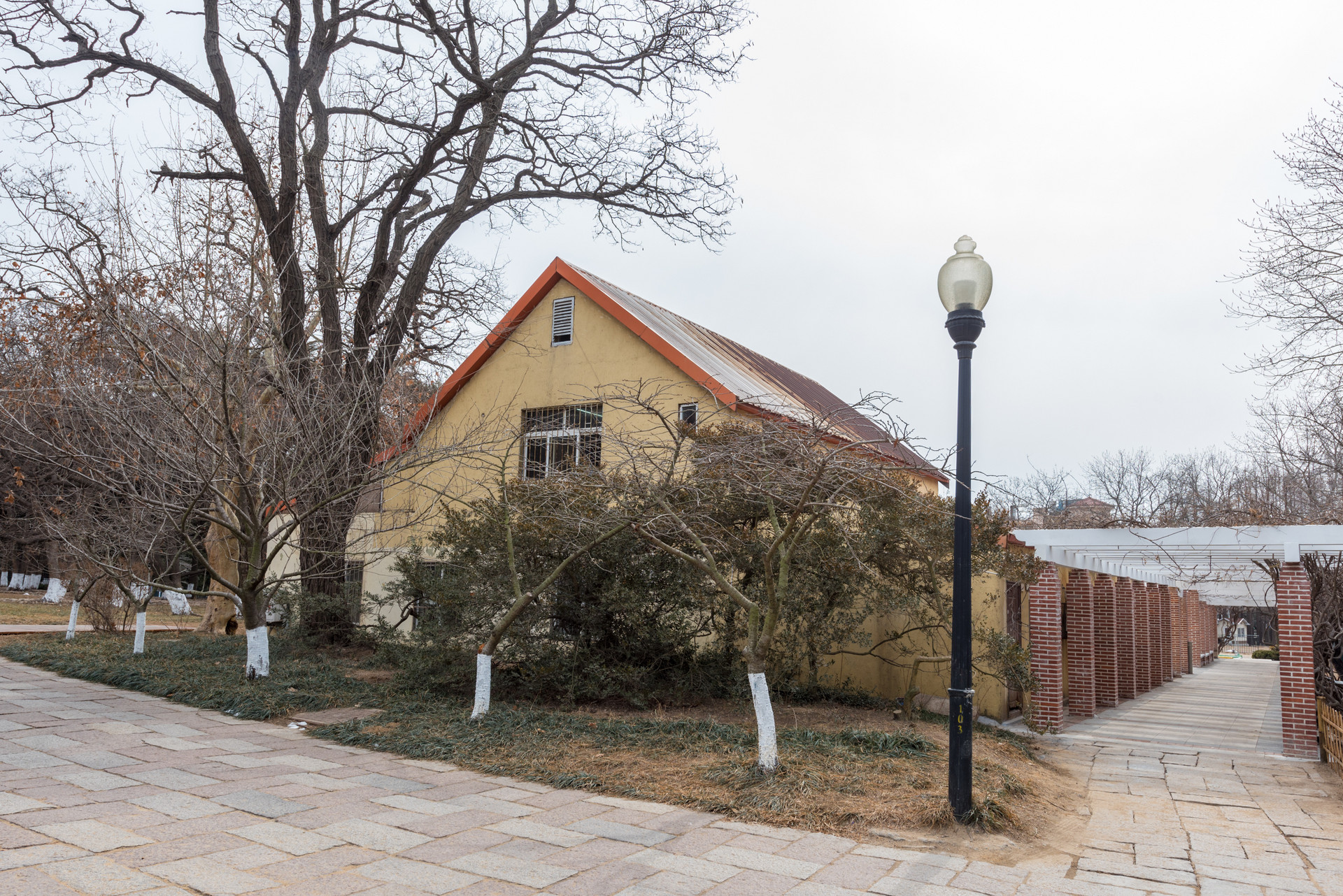 打卡森系大片！青岛这5个迷雾森林，堪称避暑仙境