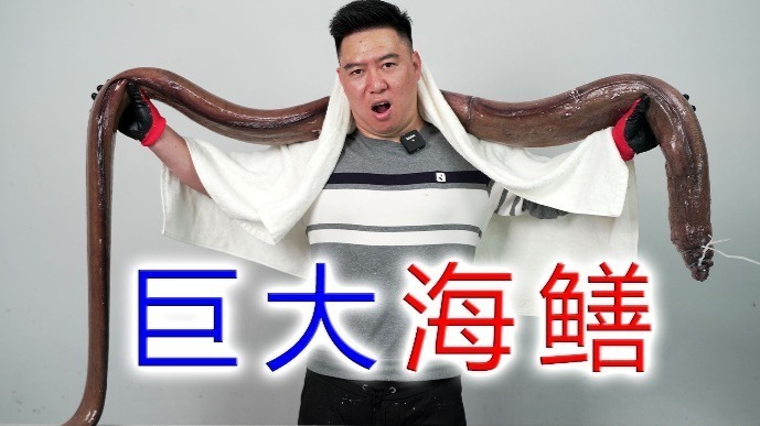 30多斤的巨大红海鳗，跟眼镜蛇一样凶猛，出锅后把我惊艳到了