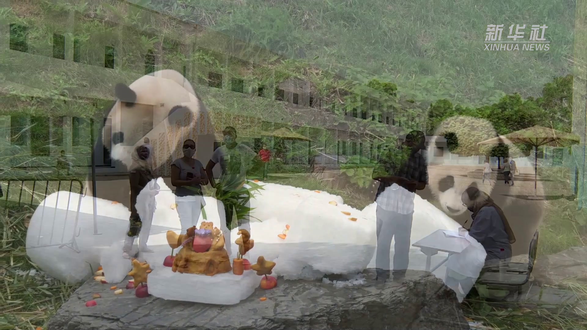 实时更新全球热门足球比赛在线直播覆盖英超西甲欧冠等各大联赛