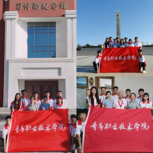 青春光芒赋能乡村振兴 青岛职业技术学院学子开展三下乡社会实践活动