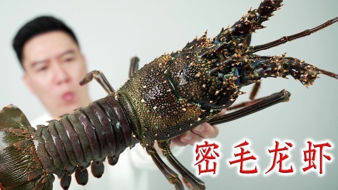 试吃密毛龙虾，刺身极品，做一个超大的龙虾球，后悔死了