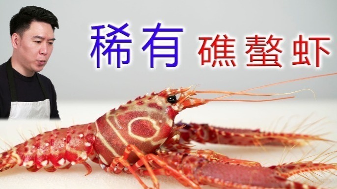 第一次吃这么漂亮的龙虾，西方礁螯虾，居然超级无敌好吃