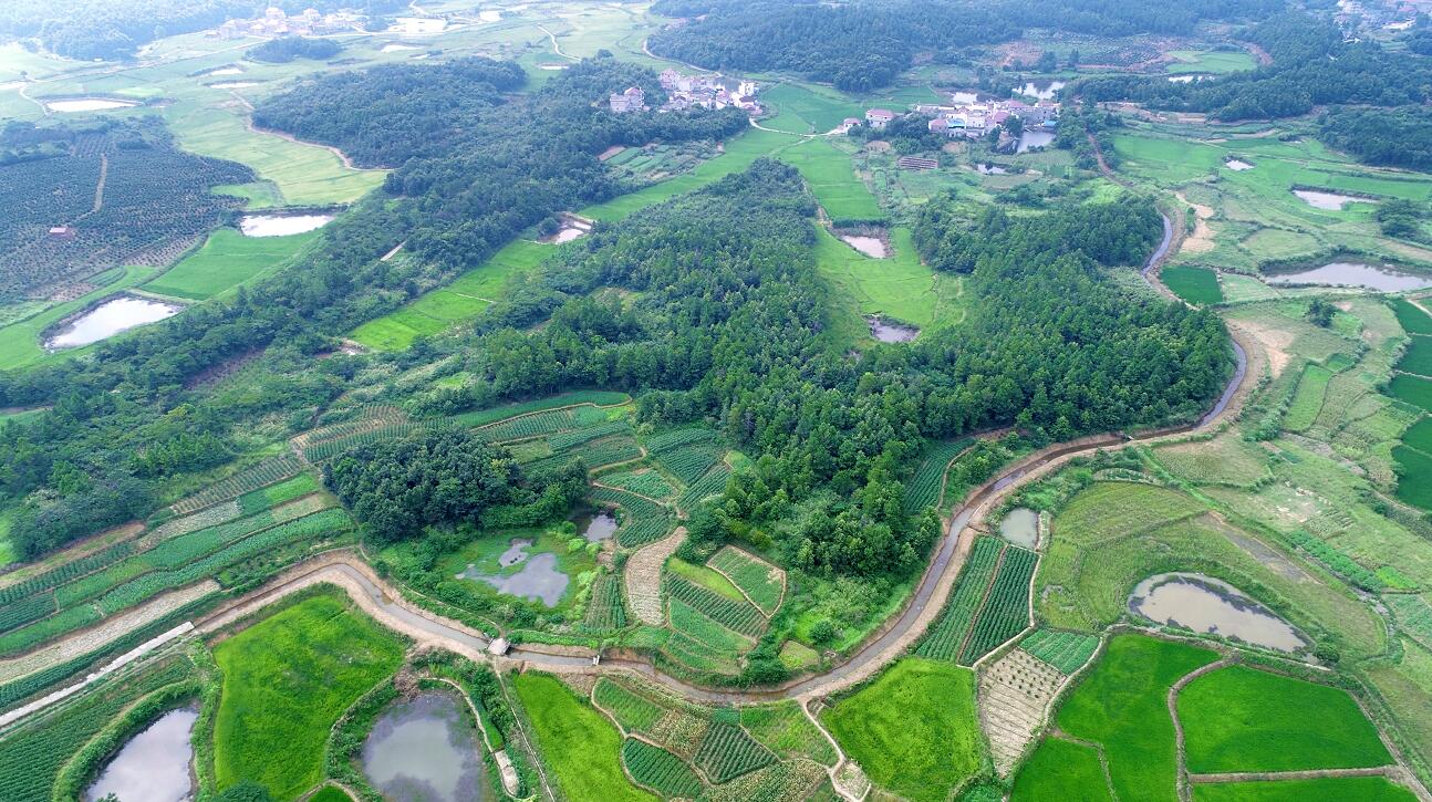 张岭水库灌溉用水经渠道输送到春桥乡