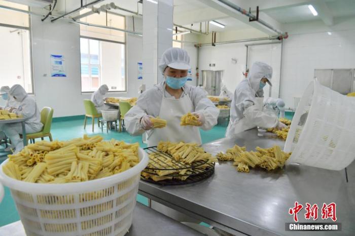 在吉林长春一家老字号食品企业的加工车间,工人正在制作豆腐串