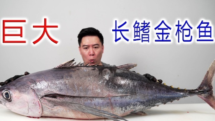 试吃一条52斤的超大长鳍金枪鱼，烤鱼脖外酥里嫩，香的不得了