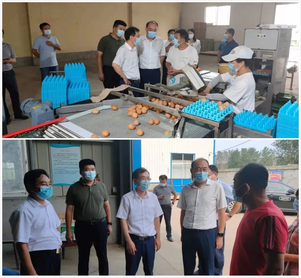 省农业农村厅朱新华副厅长来泰调研督导农村地区疫情防控工作