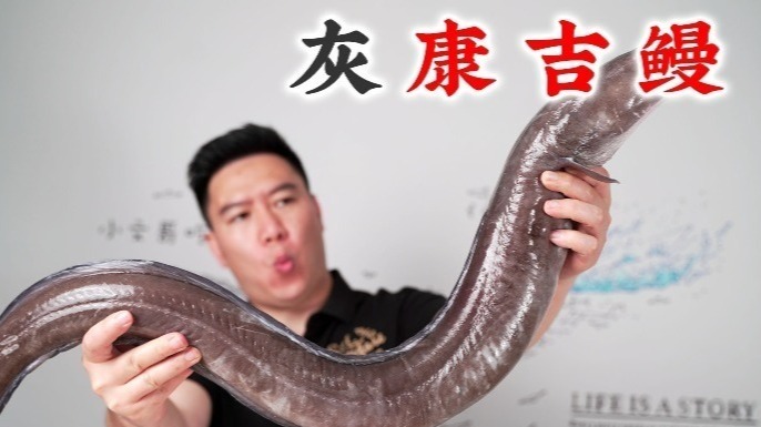 被多次安利的灰康吉鳗，炸一盘酒糟鳗鱼，把嘴巴都吃冒泡了