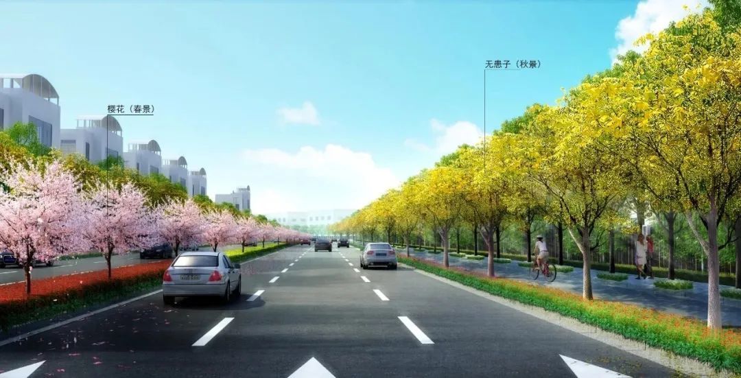 苏州大动脉主车道冯梦龙大道提前通车