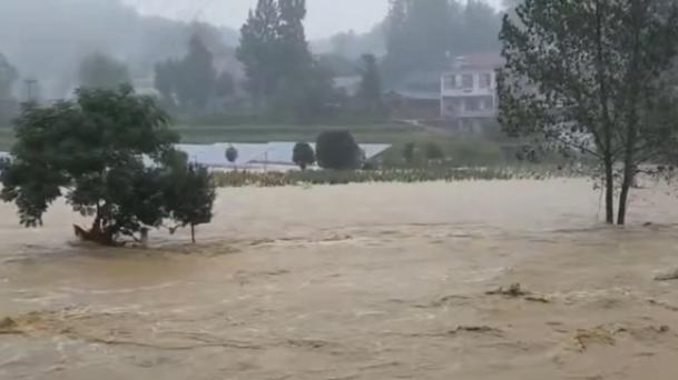 湖北随州大范围遭遇洪水：11小时7次暴雨红警 柳林镇被淹